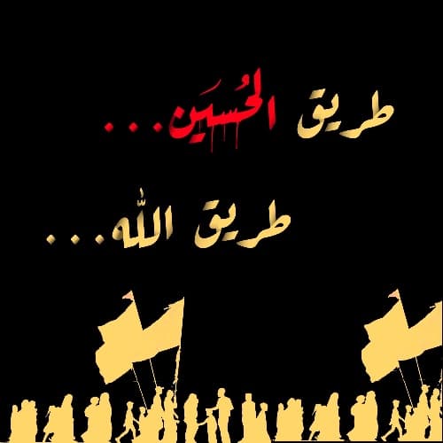 بيت سجاد احمد  ابو عبدلله  / الديوانية / الشامية /  الصوب الصغير 